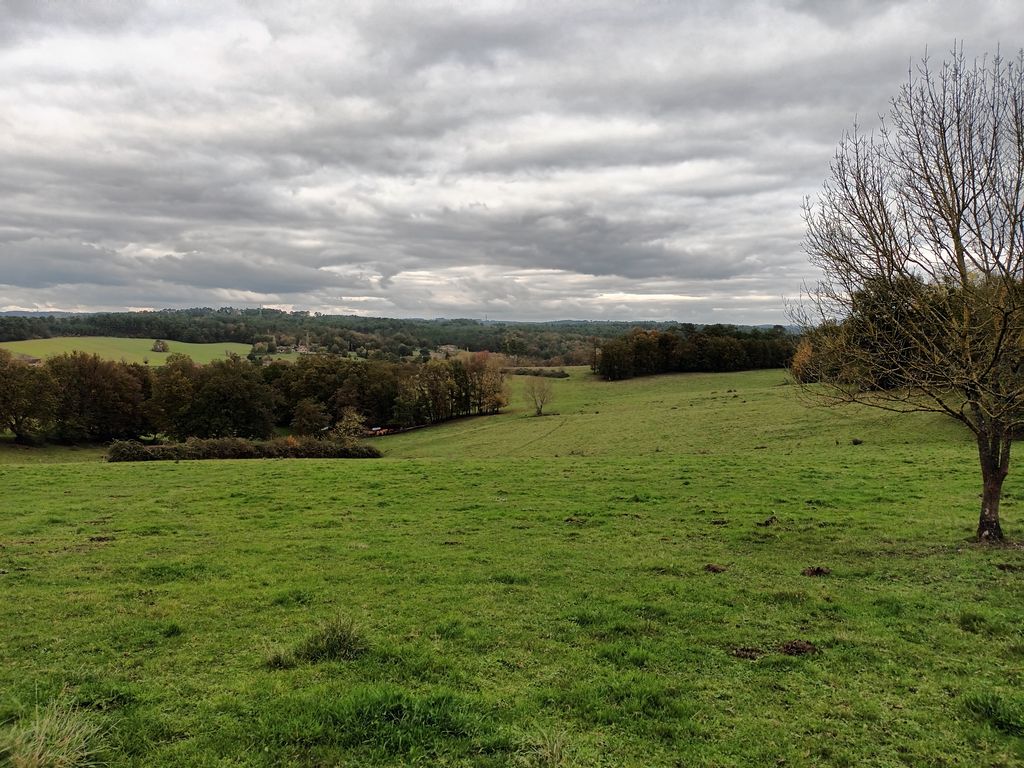 Gîte Aux Bois d'en Temps, Lunas - photo 4