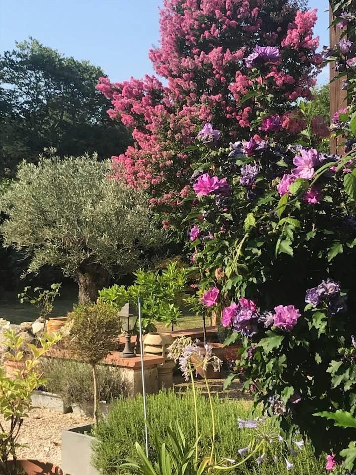 Le fournil des moines, Clermont-Dessous - photo 5