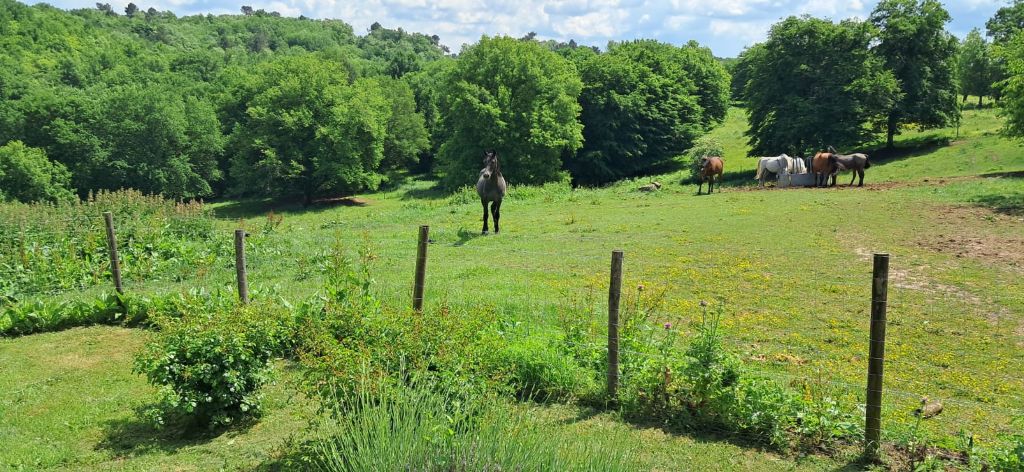 Gîte du Four à pain, Bourrou - photo 31