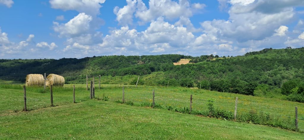 Gîte du Four à pain, Bourrou - photo 13