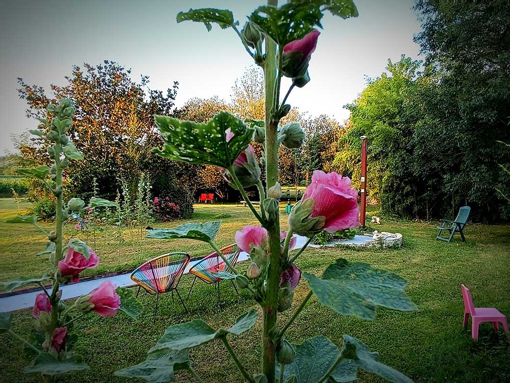 Mini Golf "Bohème" - photo 3