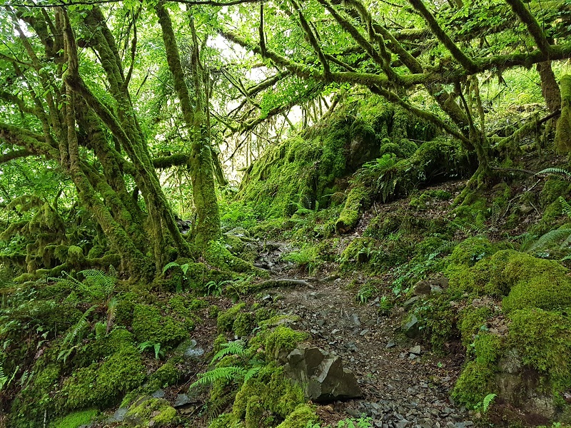 Gorges de l'Auvézère, Saint-Mesmin - photo 7