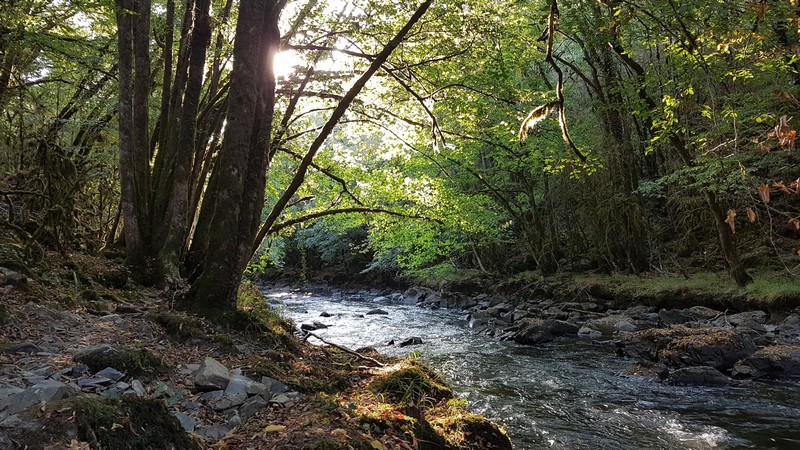 Gorges de l'Auvézère, Saint-Mesmin - photo 6