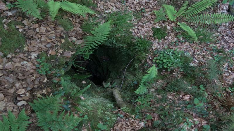 N°83 Sentier Karstique 