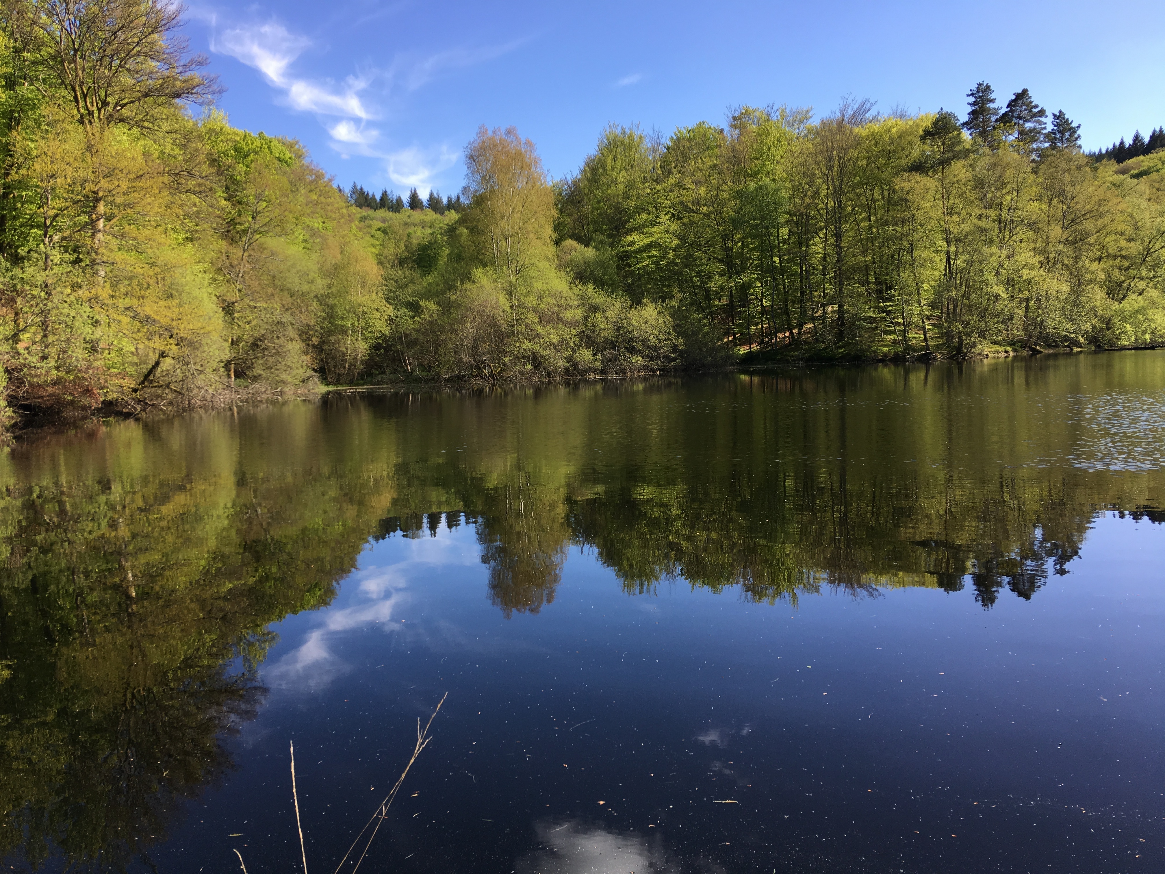 Les Vestiges Gallo-Romains des Mazières