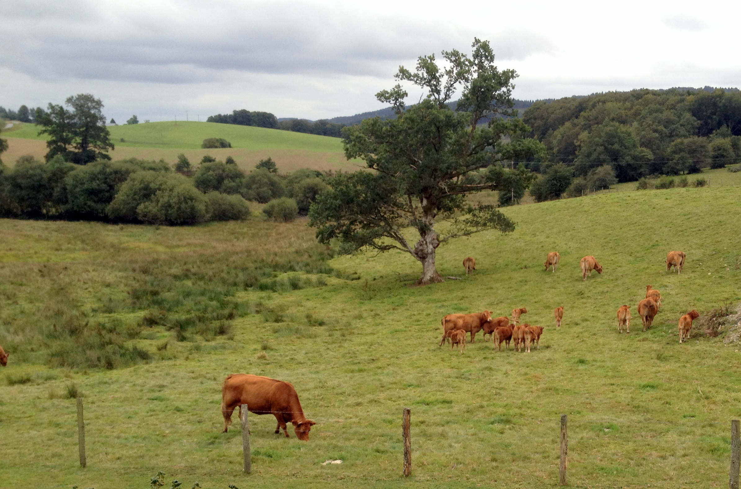 Les Vestiges Gallo-Romains des Mazières - photo 5