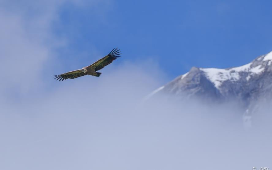 Image de présentation du lieu