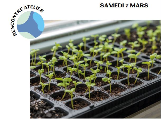 Atelier Grainofête