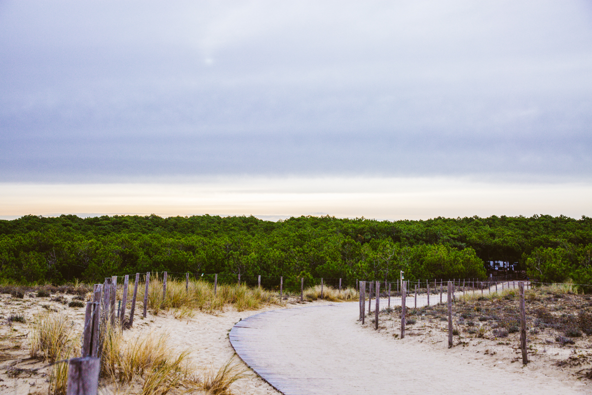 Circuit cyclotouristique à Lège-Cap Ferret (Lège-Claouey-Grand Crohot-Lège) — photo 3