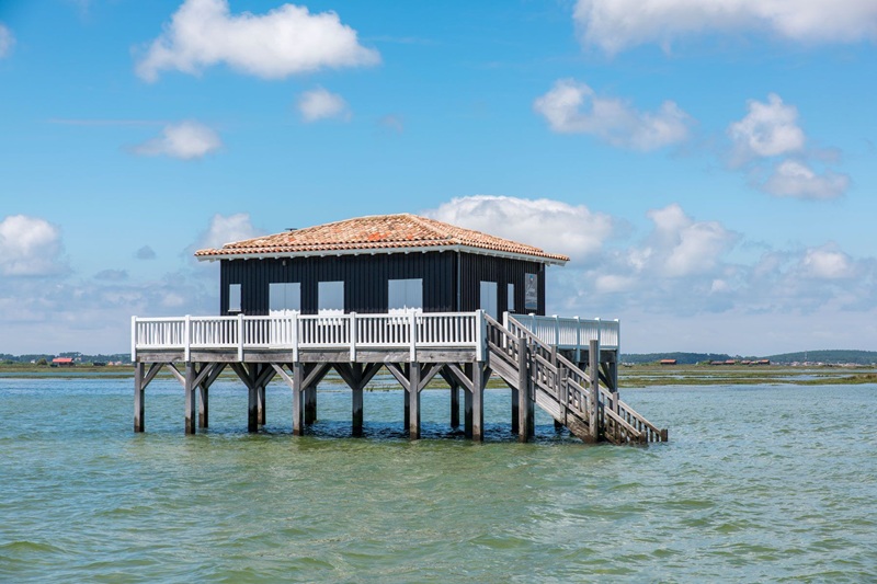 UBA Tour de l'île aux oiseaux — visuel événement