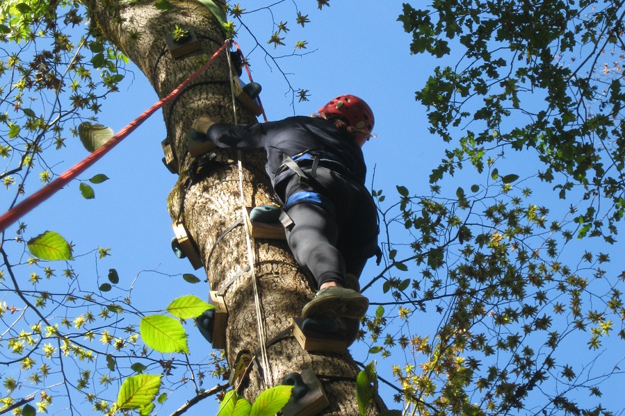 Centre de Plein Air - CPA Lathus, Lathus-Saint-Rémy - photo 4