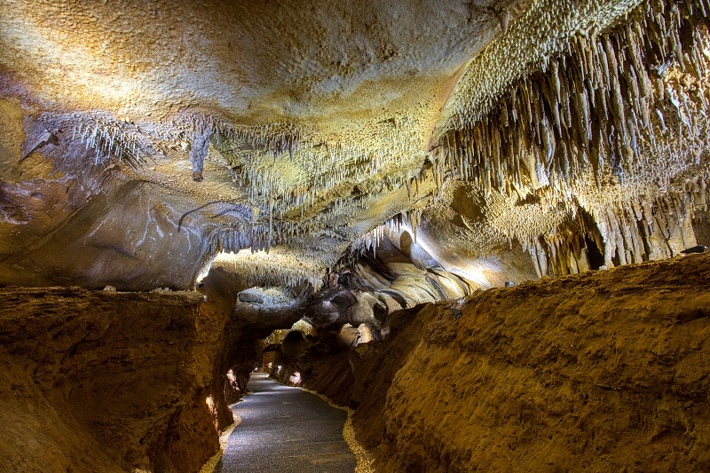 Grotte de Domme, Domme - photo 7