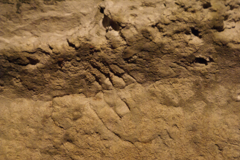 Grotte de Bara Bahau - Le Sanctuaire de l'Ours, Le Bugue - photo 4