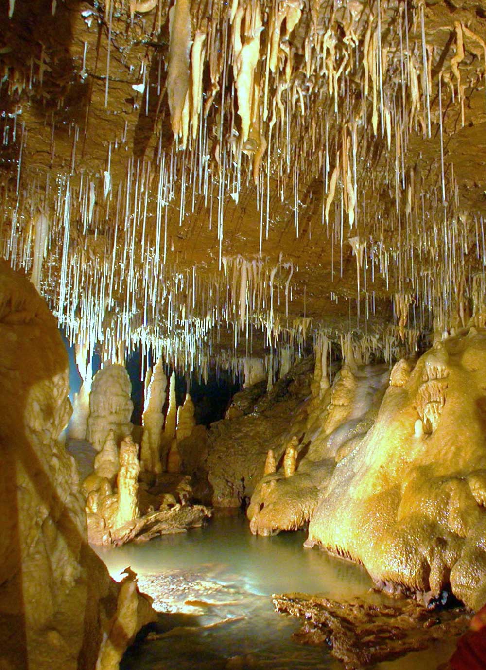 Grotte de Tourtoirac, Tourtoirac