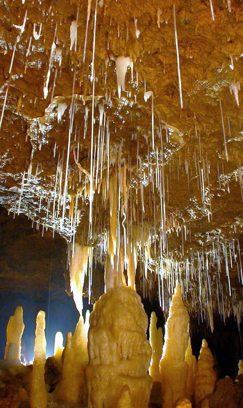 Grotte de Tourtoirac, Tourtoirac - photo 3