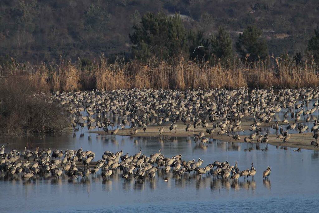 Gîte Commanday, Morcenx-la-Nouvelle - photo 3