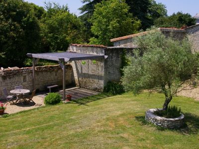 L'Olivier - Domaine de Bourgville, Monts-sur-Guesnes - photo 5