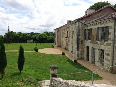 L'Olivier - Domaine de Bourgville, Monts-sur-Guesnes - photo 3