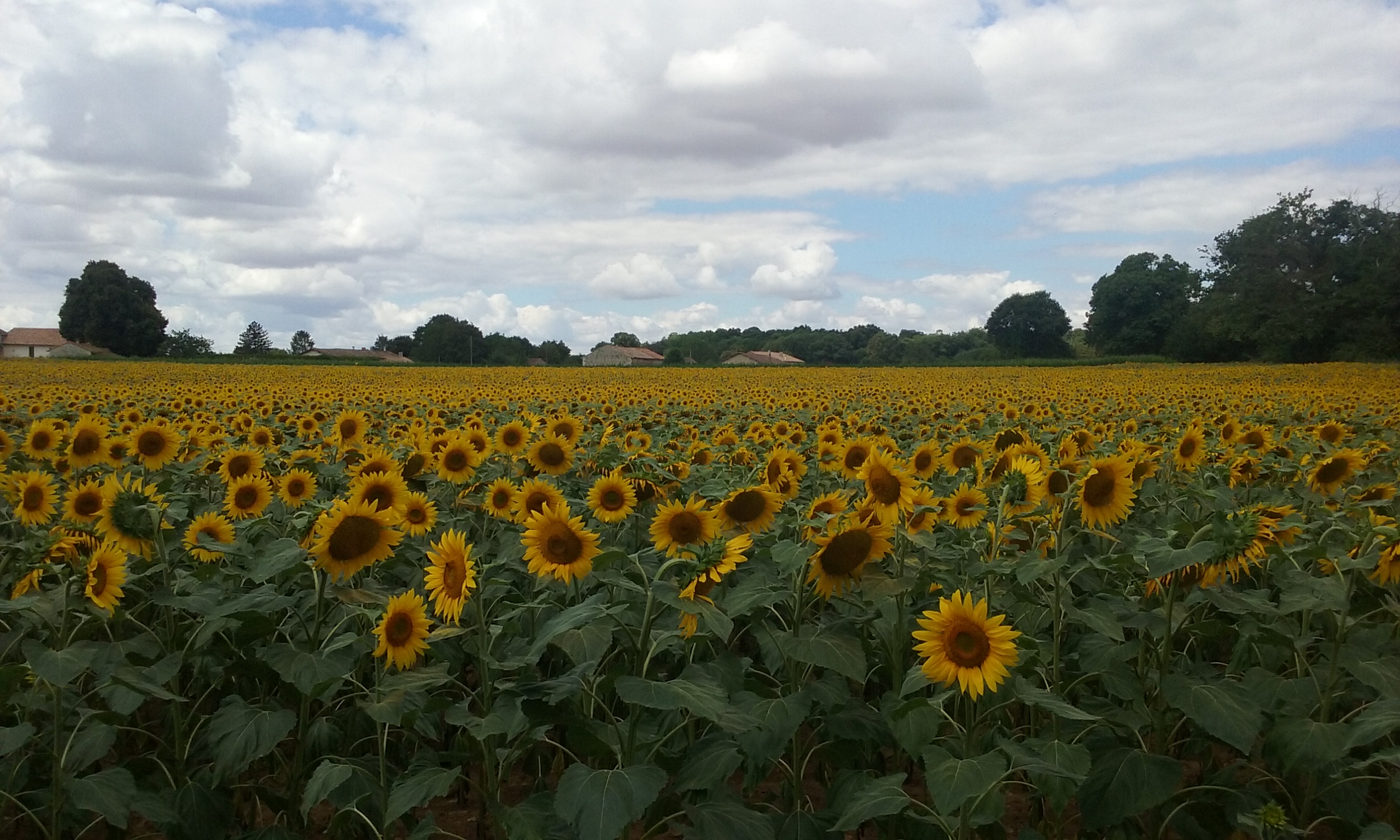 La Perdrix, Asnois - photo 11