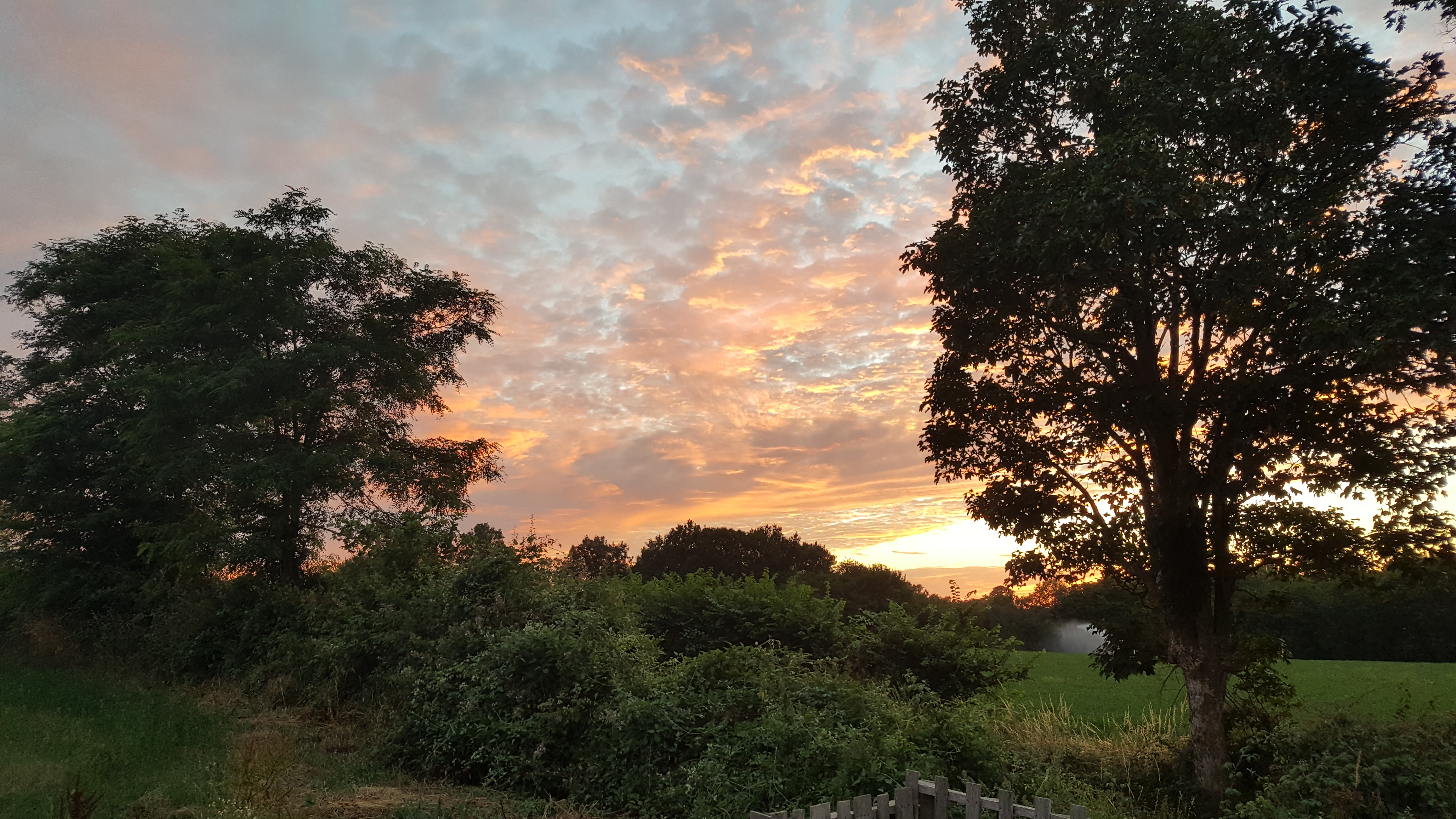 La Perdrix, Asnois - photo 13