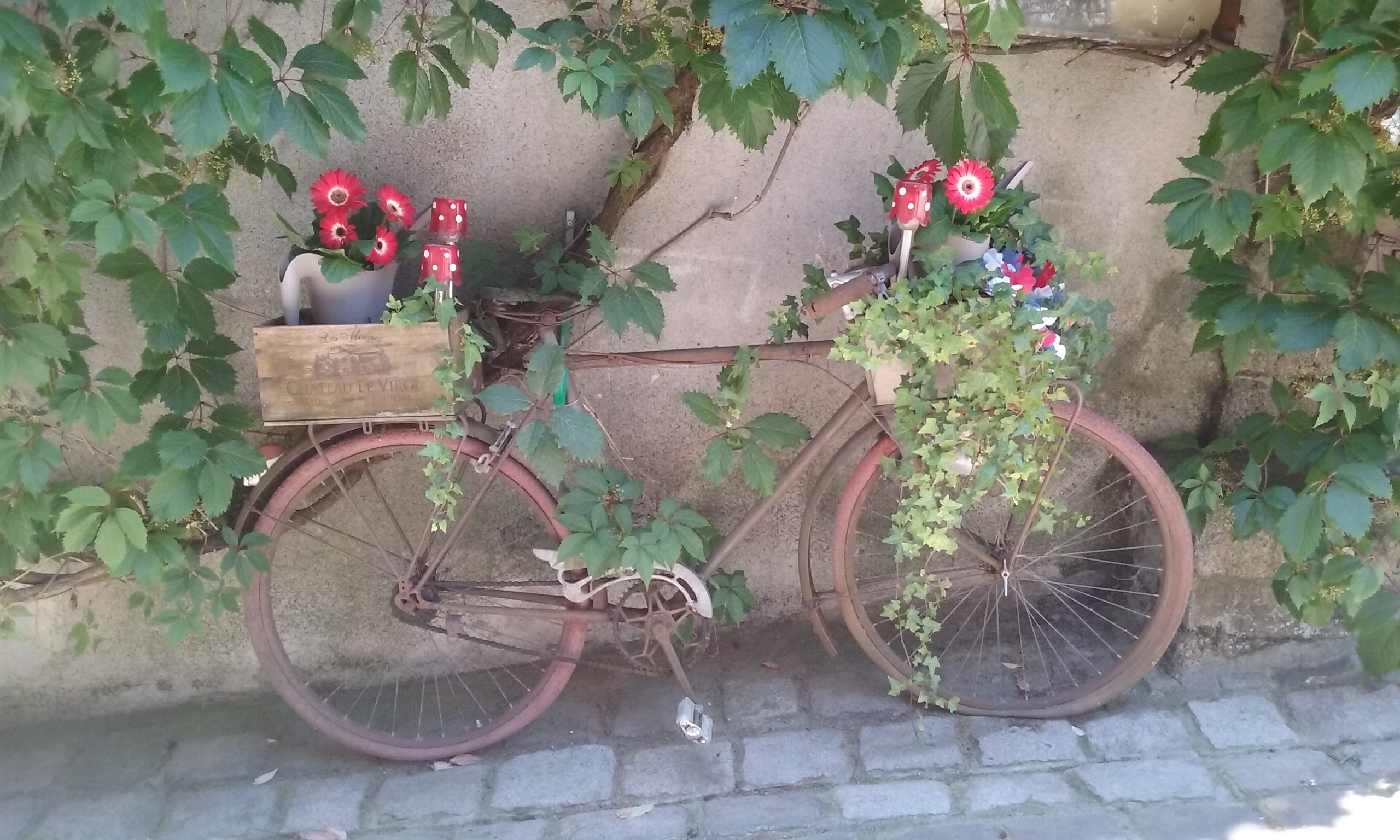 La Perdrix, Asnois - photo 14