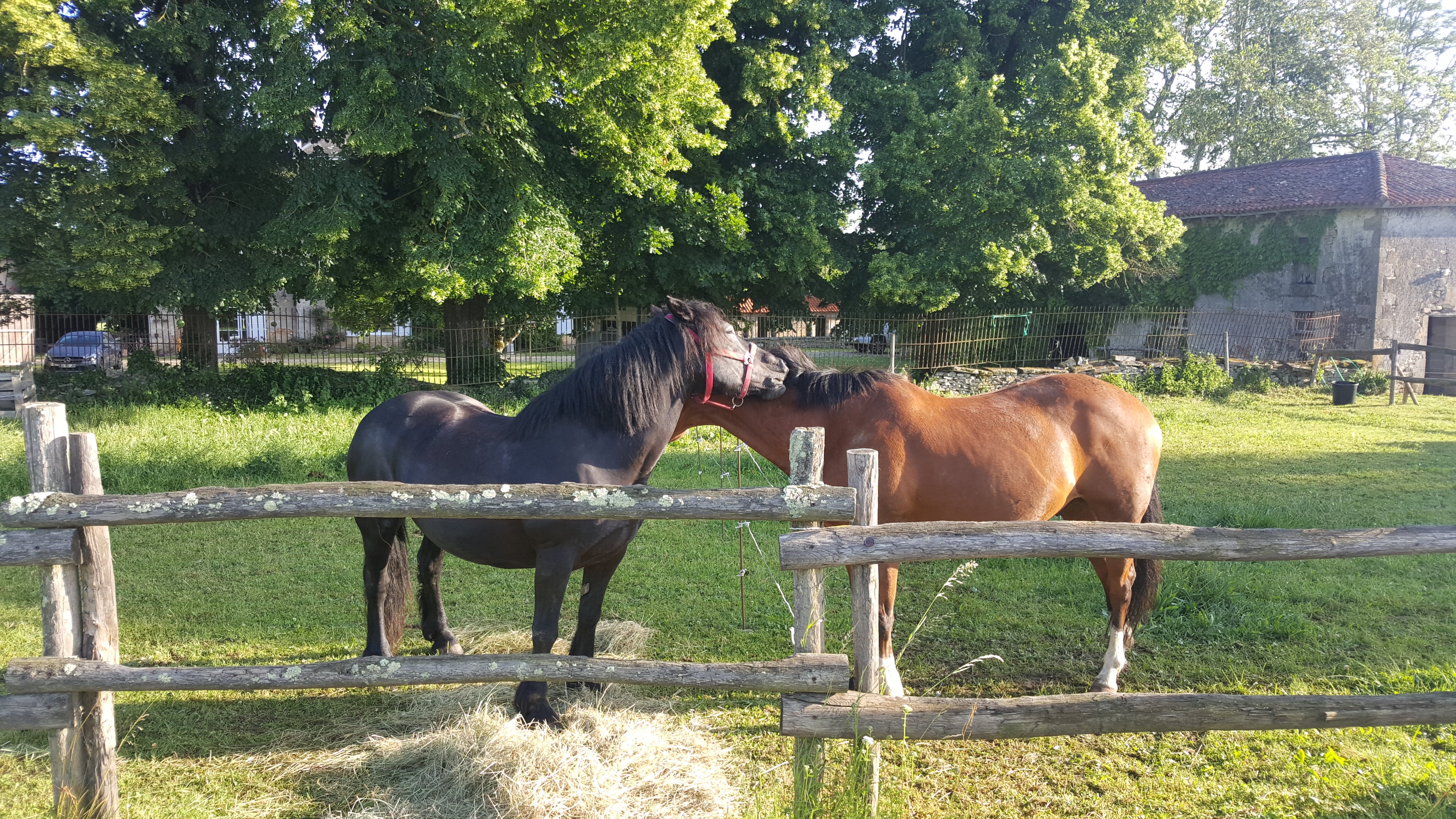 La Perdrix, Asnois - photo 5