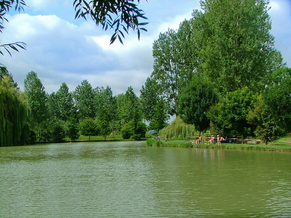 Etang de pêche de Guesnes — photo 3