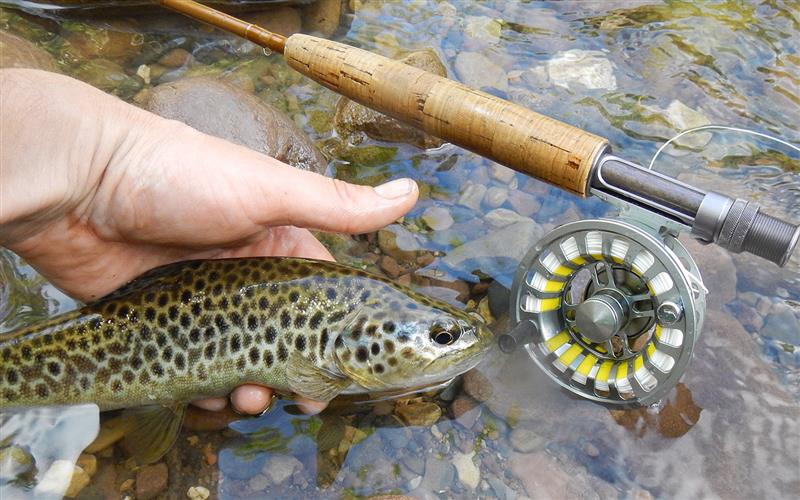 Guillaume Chavanne - Moniteur guide de pêche