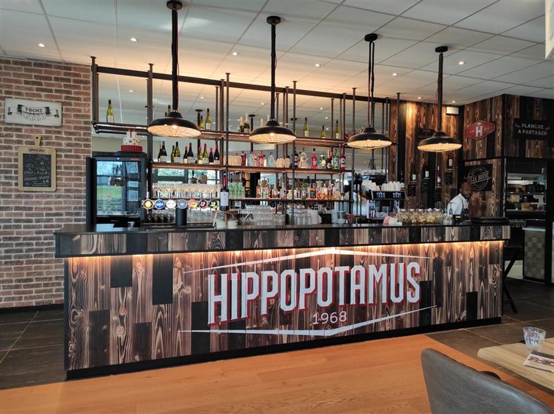 Hippopotamus