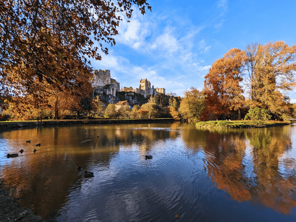 Jardin public Jacques Toulat, Chauvigny - photo 4