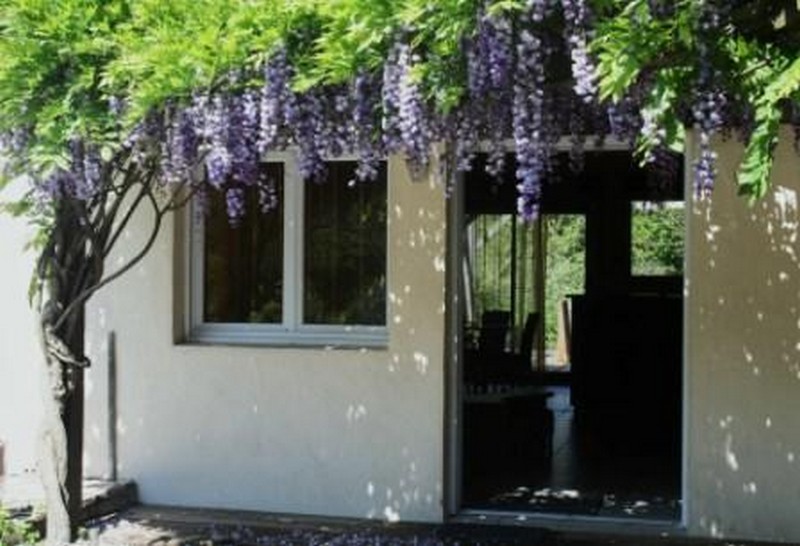 Monsieur Haas Eric - Petit Nid