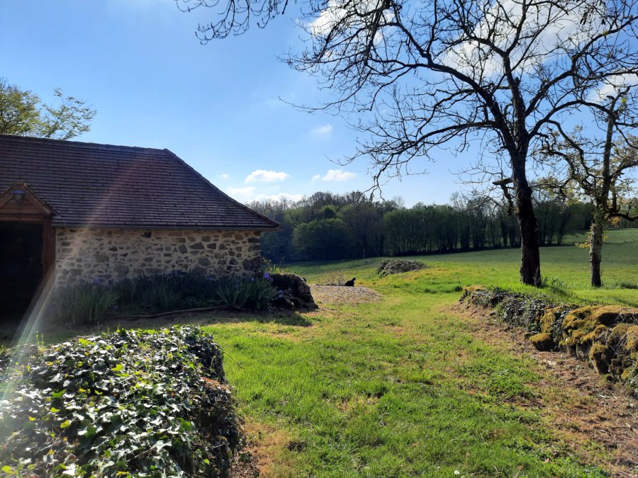 Le Hameau du Pagnon - Le Papillon - photo 4