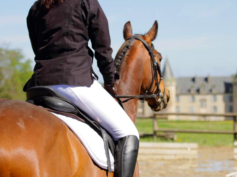 Le Haras du Parc