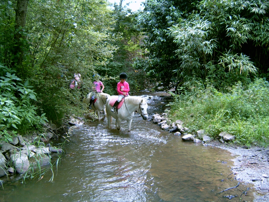 Equitation, poney-club - Haras de Royer - photo 5