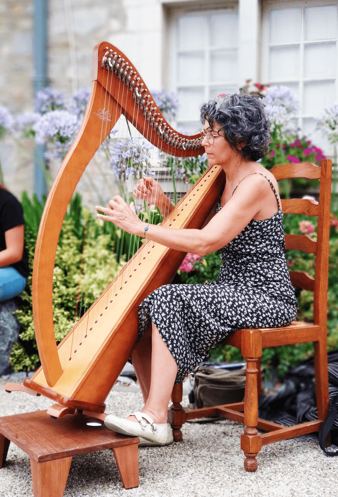 Concert des harpes et violons — visuel événement