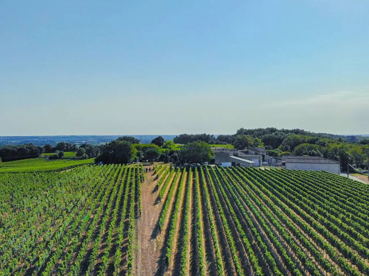 Château Haut Beynat — photo 2