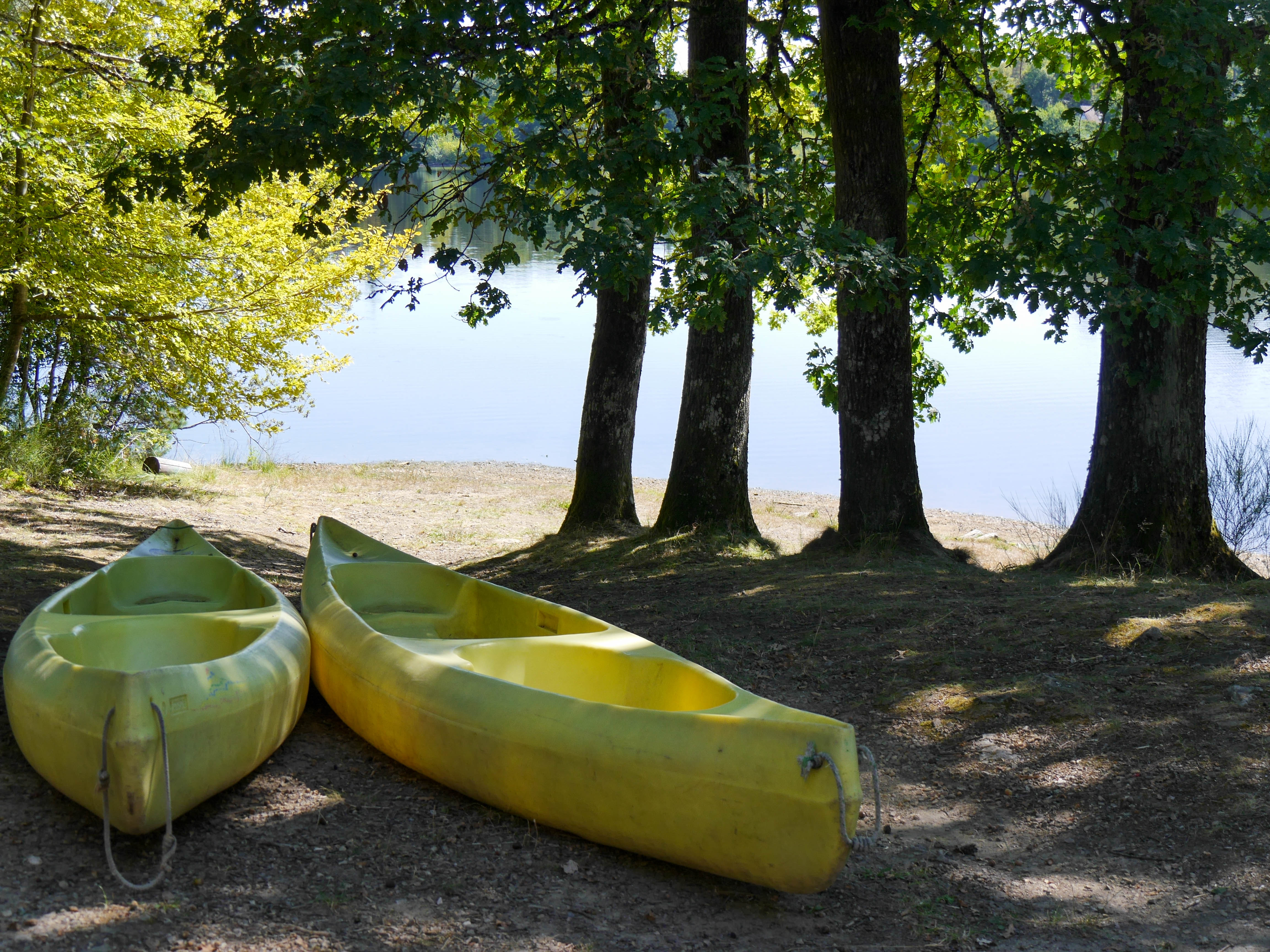 Voilco-Aster Base 1 - photo 5