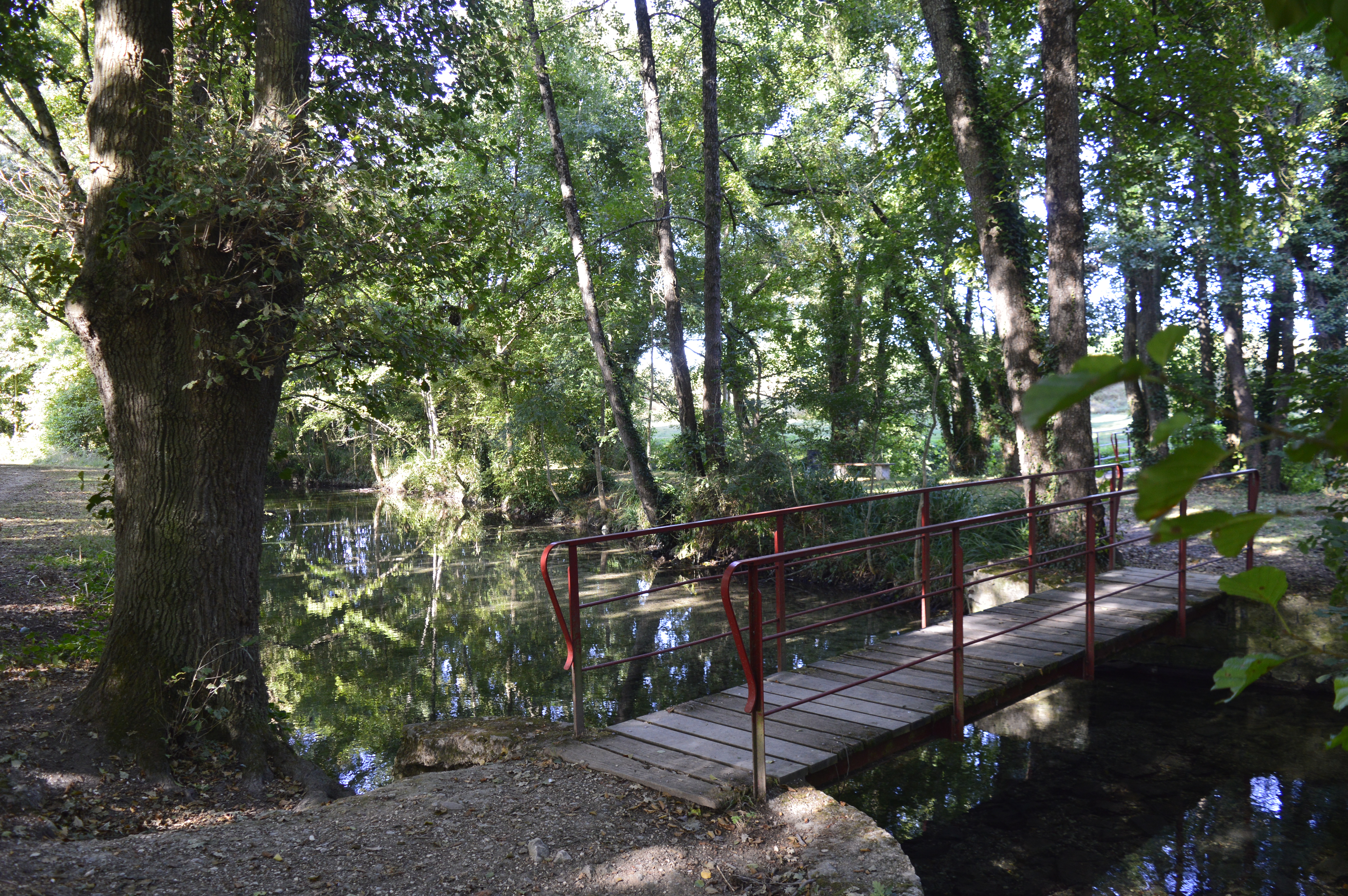 Chef-Boutonne, Petite Cité de Caractère, Chef-Boutonne