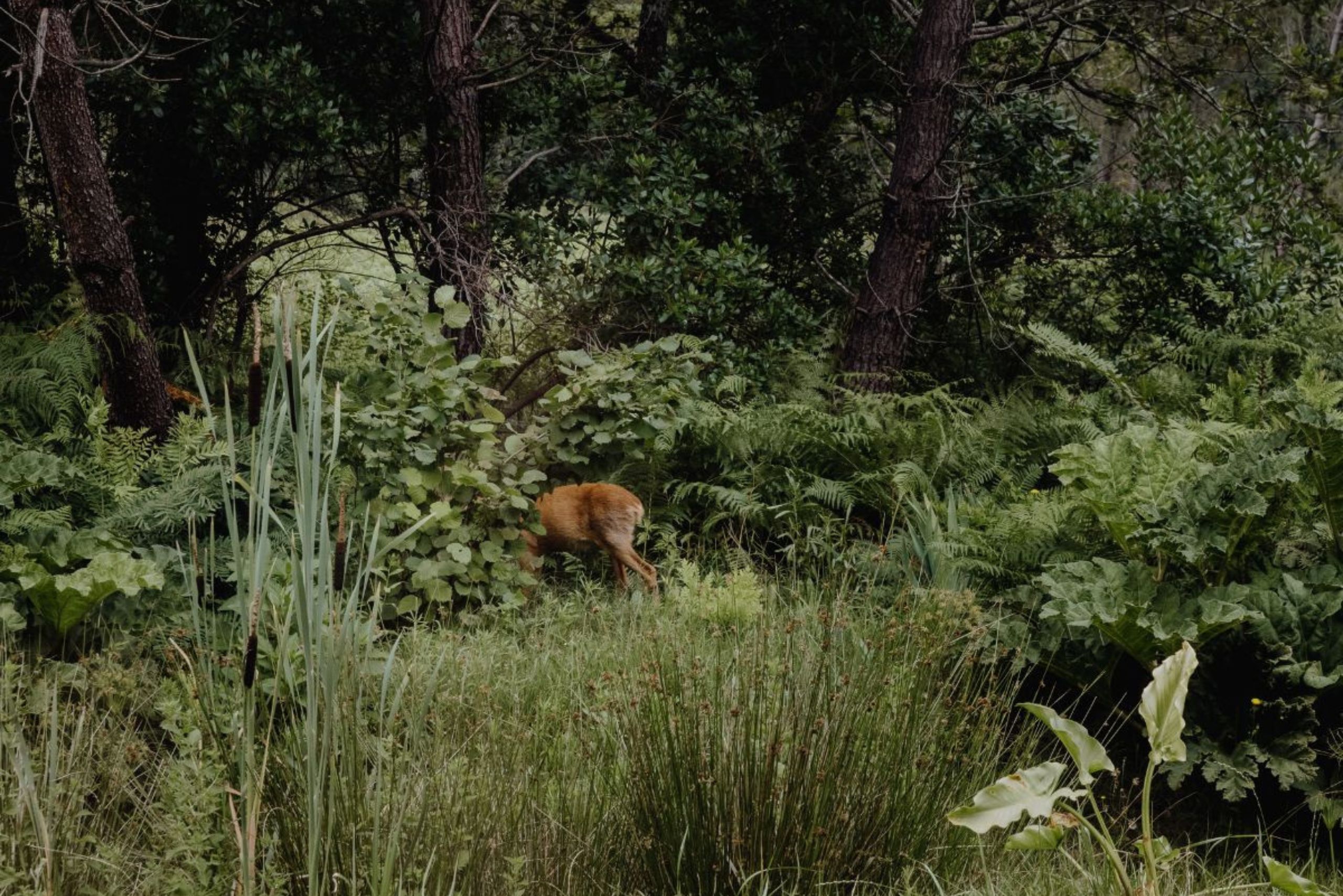 HEJMO Hostel, Soorts-Hossegor - photo 12