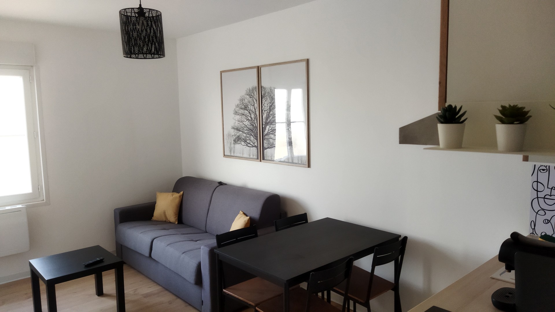 Hêtre, Chasseneuil-du-Poitou - photo 5