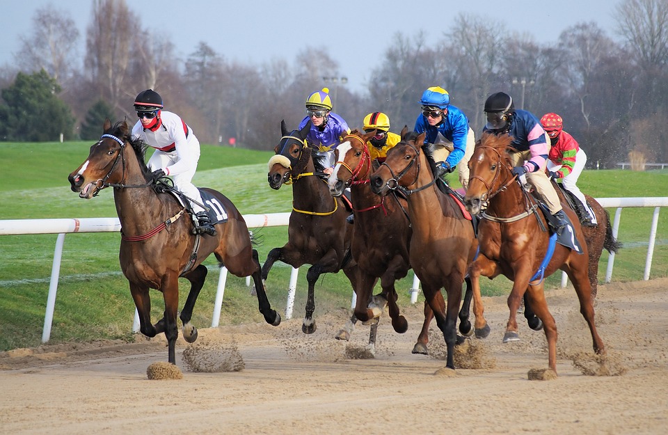 Journée festive et familiale à l'Hippodrome