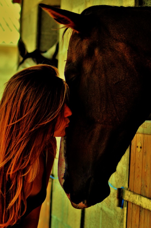 Centre Equestre de Clavières — photo 3