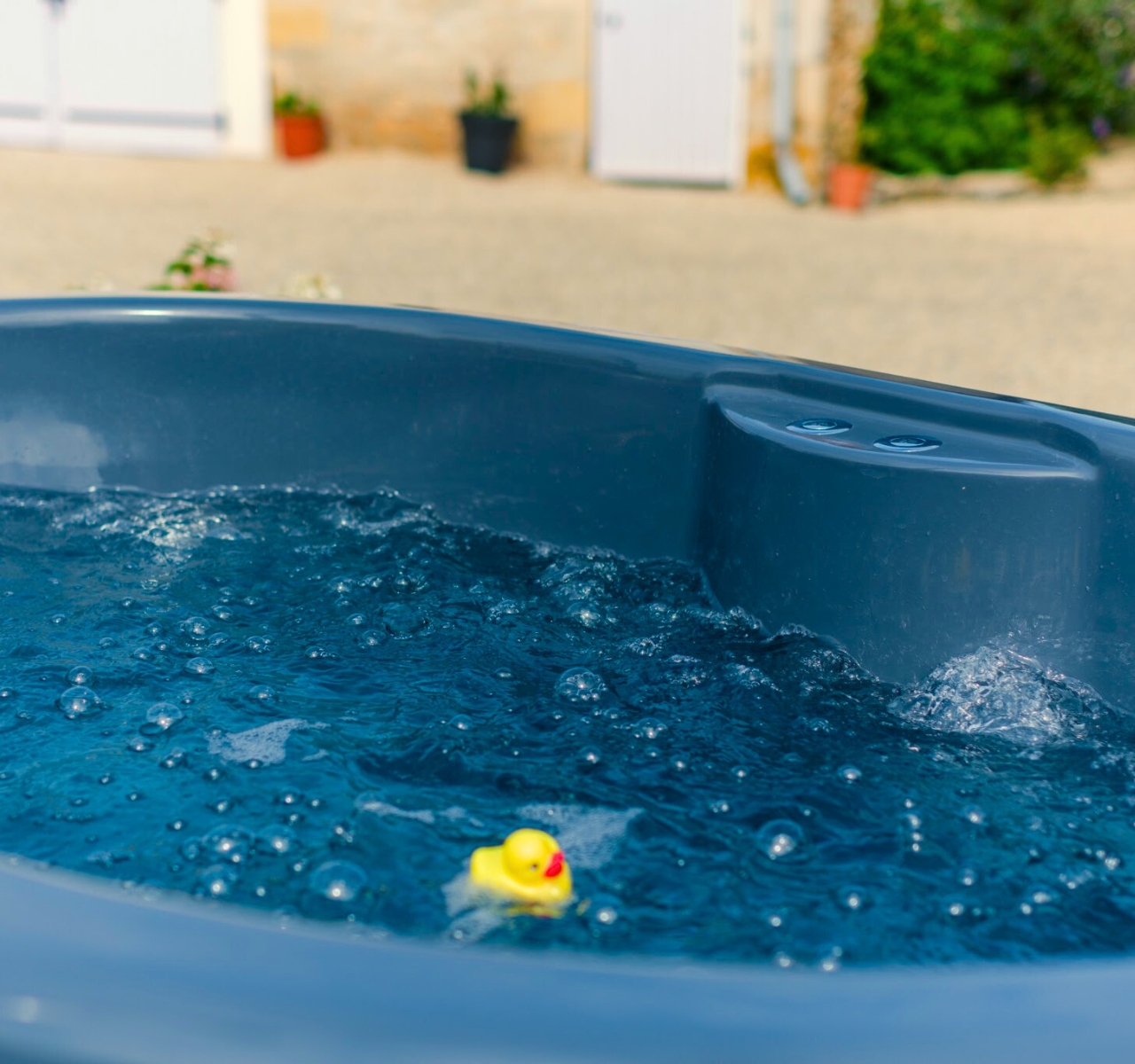 La Vache, Champniers - photo 11