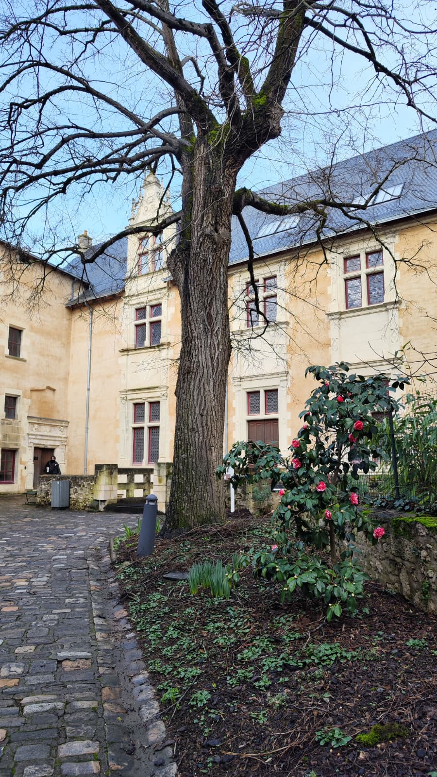 Hôtel Berthelot, Poitiers - photo 4