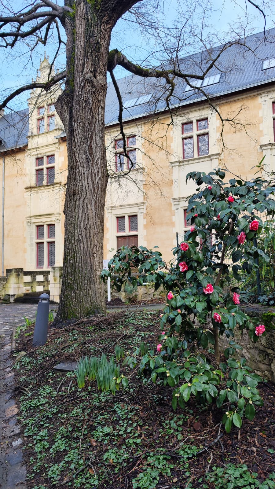 Hôtel Berthelot, Poitiers - photo 3