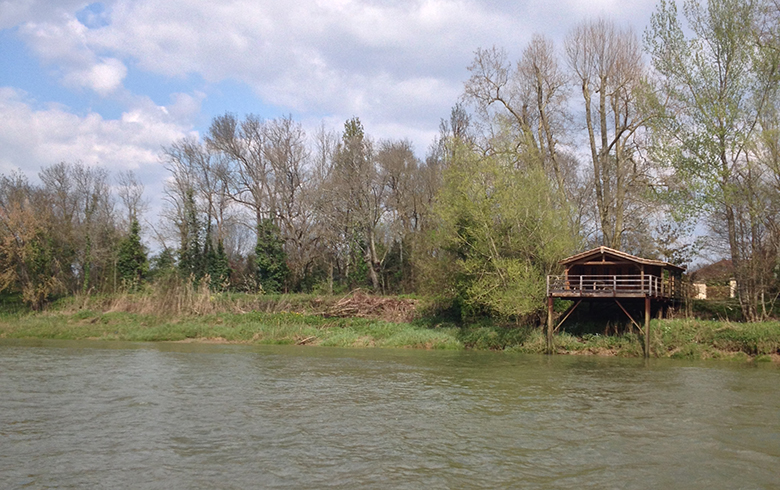 Ile d'Arcins, Latresne - photo 4