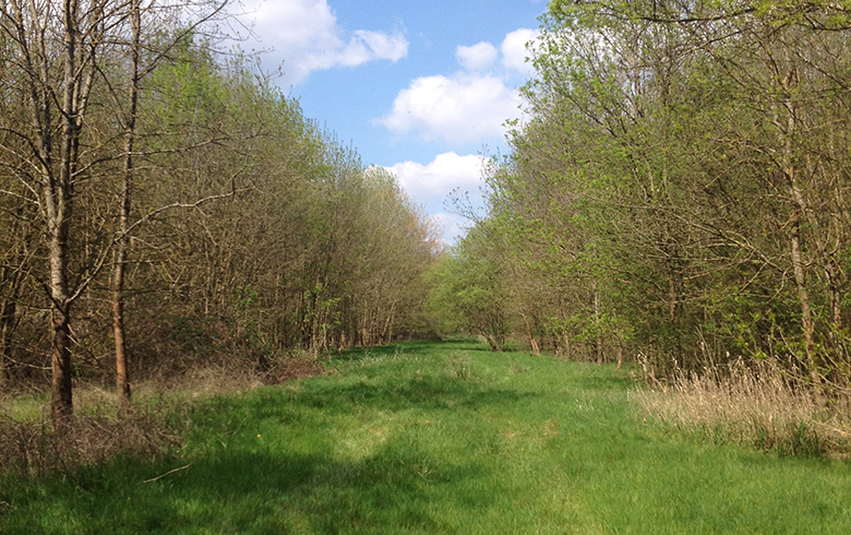 Ile d'Arcins, Latresne - photo 3