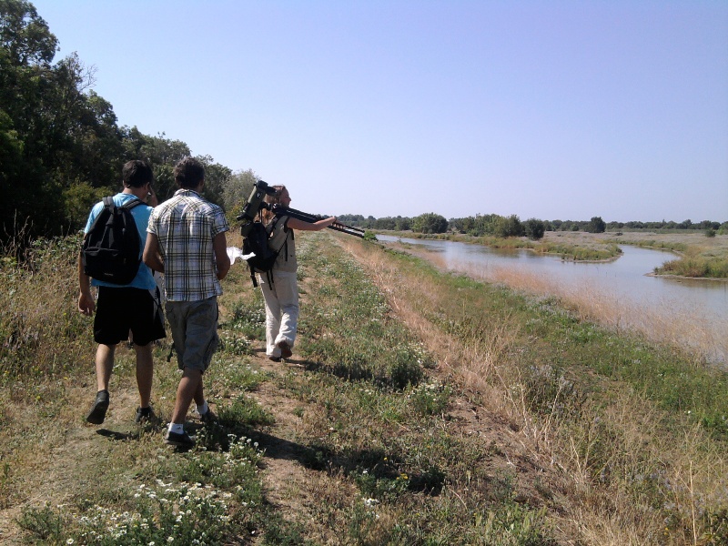 L'Ile Nouvelle, Blaye - photo 6