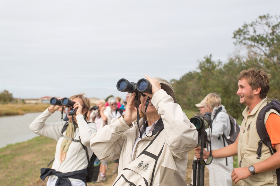 L'Ile Nouvelle, Blaye - photo 4