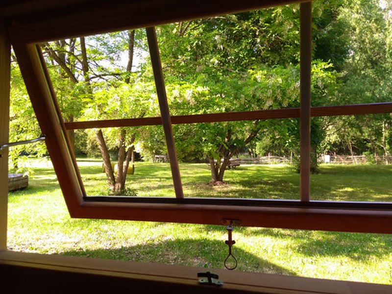 Graines de Nature - Le kota à l'ombre d'Yggdrasil - photo 5